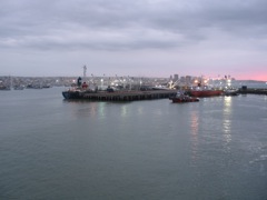 Manta evening