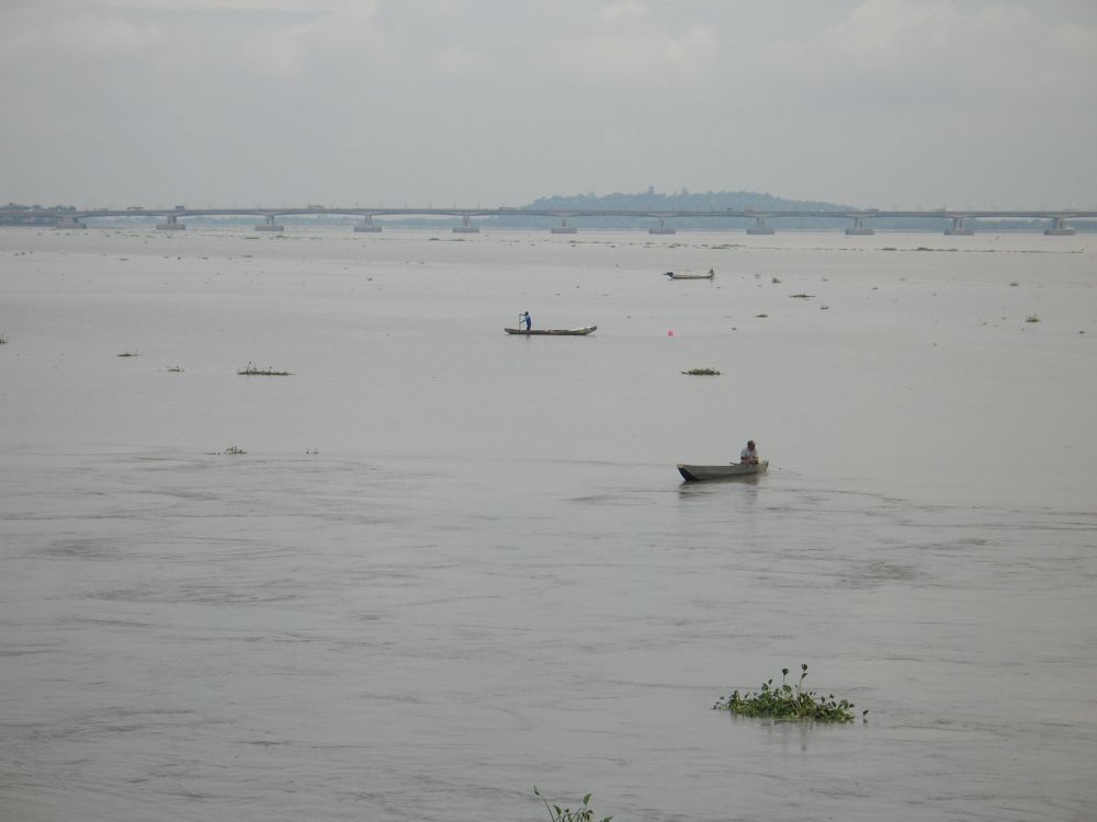 Floating vegetation