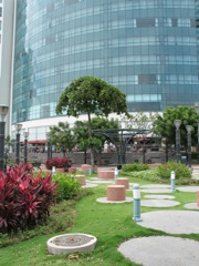 Green spot