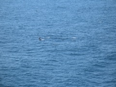 Breaking the surface
