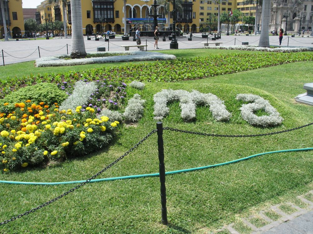 Lima in plants