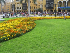 Town square planting 2/2