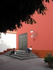 Back steps
