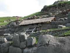 Rethatching