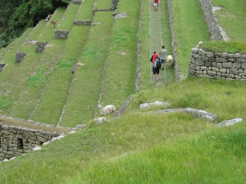 The walking terrace