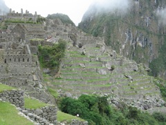 Terraces