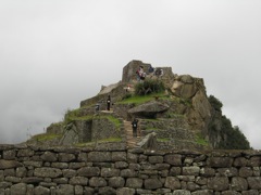 Lookout