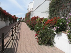 Larco Museum entry walk