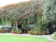 Curtyard