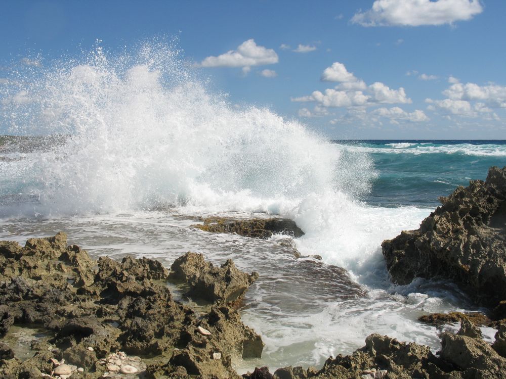 Cozumel surf