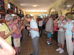 Tequila tasting