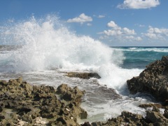 Cozumel surf