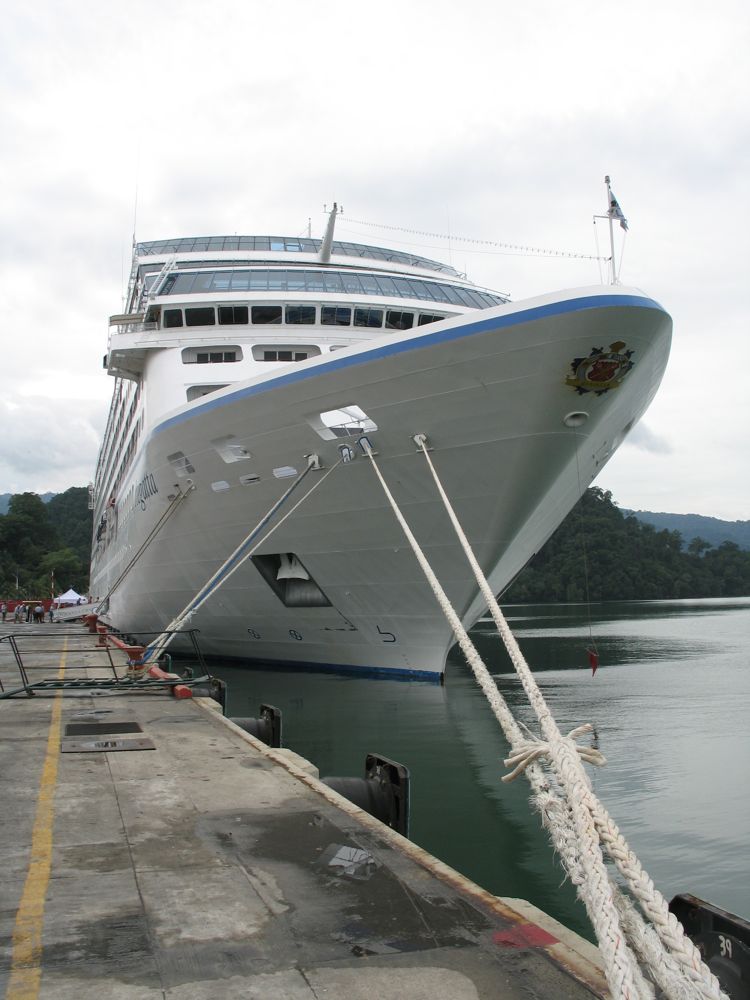 The bow