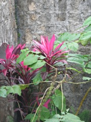Closer view