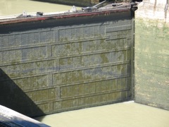 Gates in other channel
