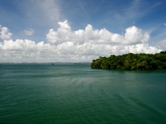 IMG_8785.JPG