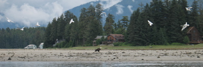 IMG_0053.JPG