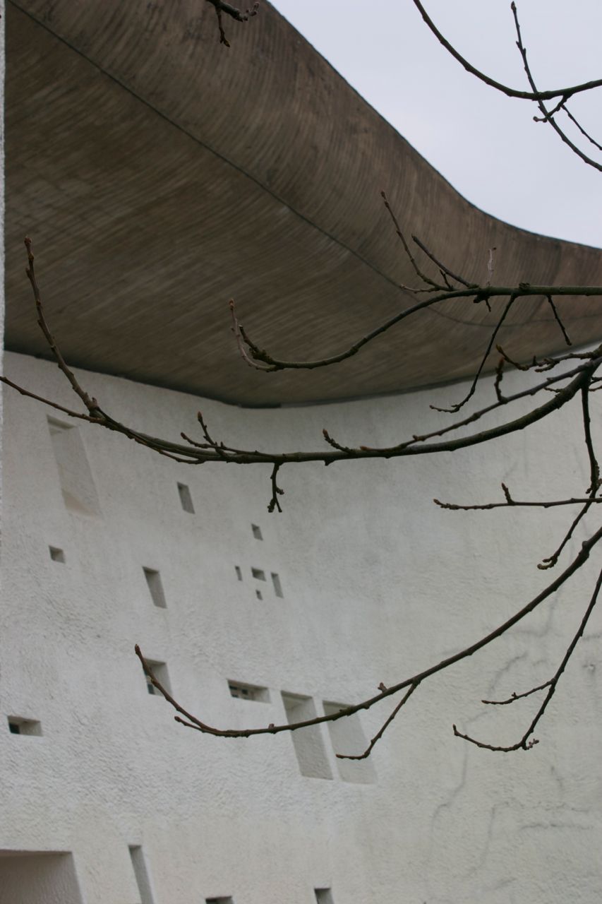 CRW_8560
