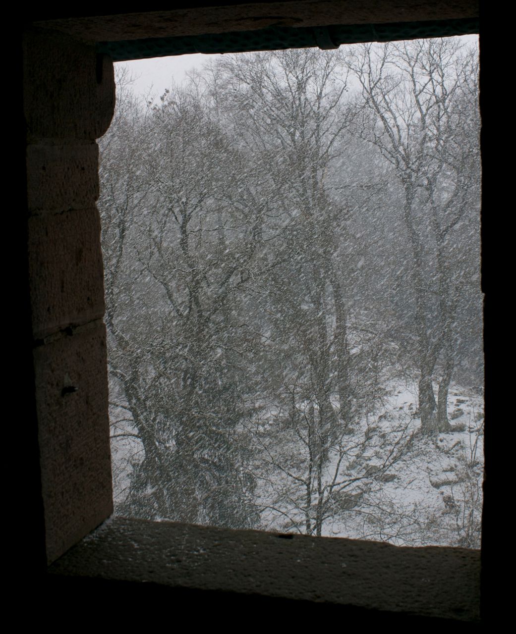 Haut Koenigsbourg