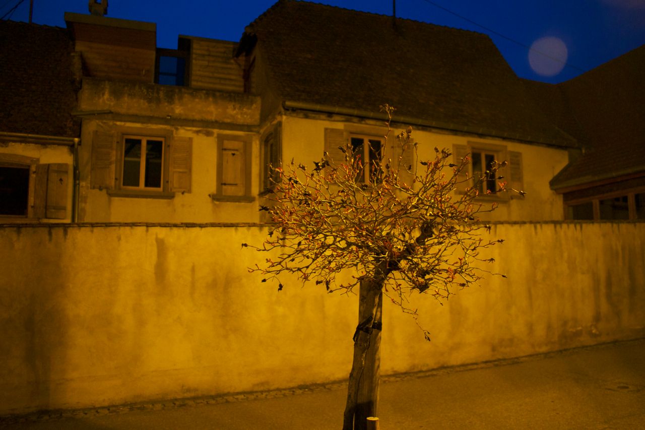 Mittelbergheim