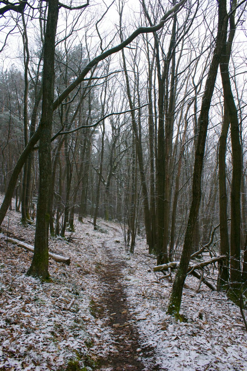 Mittelbergheim: Hiking up to the Château d'Andlau