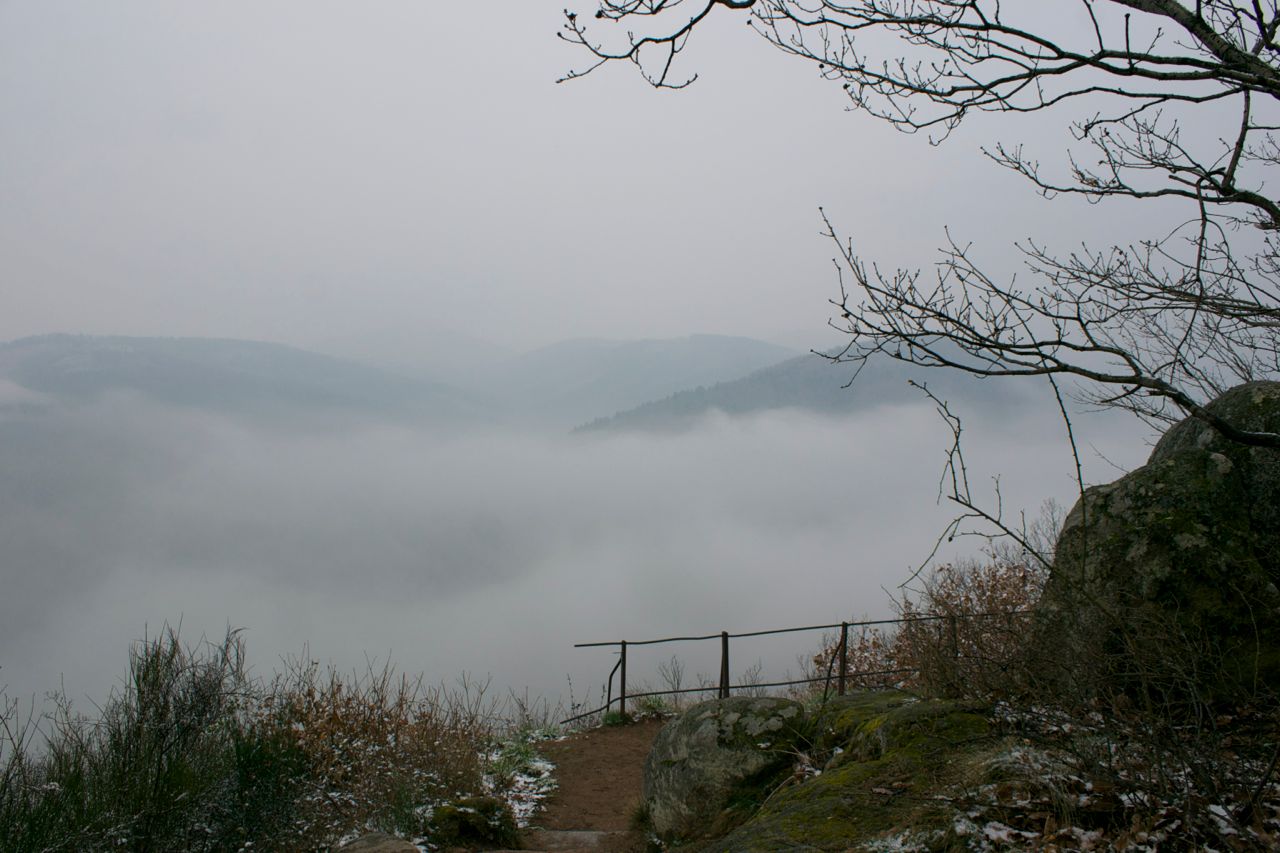Mittelbergheim: View from the Rocher Saint-Richard