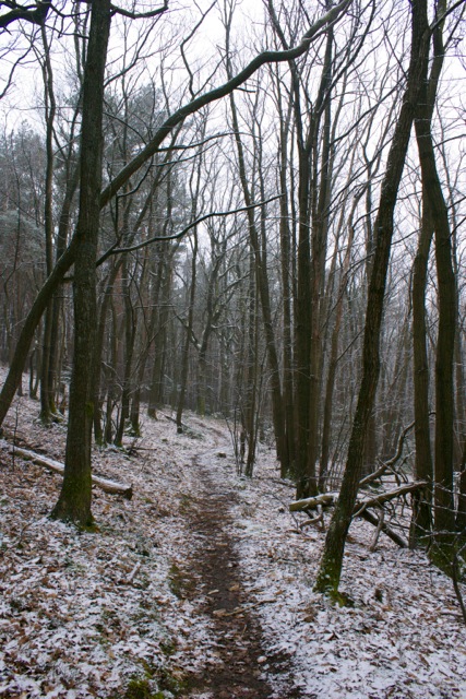 Mittelbergheim: Hiking up to the Château d'Andlau