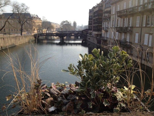 Metz