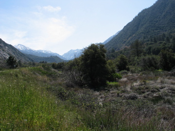 IMG_0044.JPG
